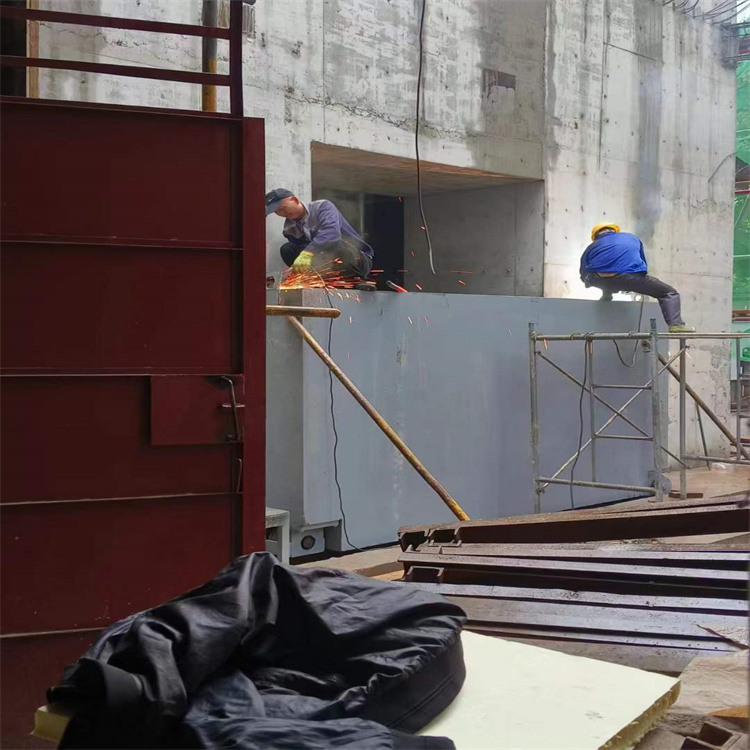 黔东南聊城阳谷铅门生产厂家：高强度铅门的应用